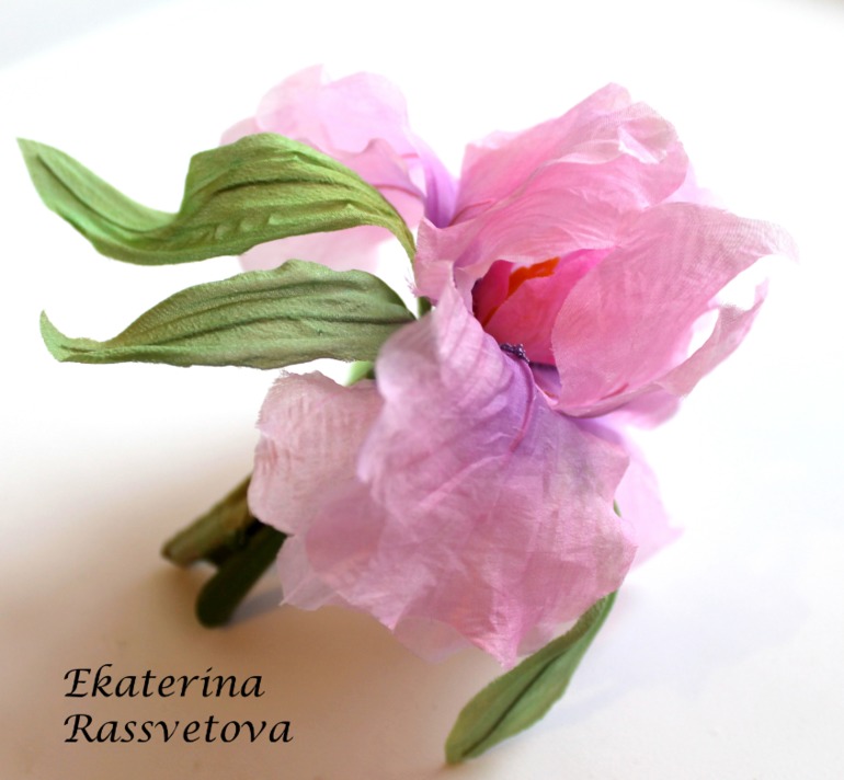 Шелковый Ирис