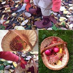 5 любимых занятий сентября