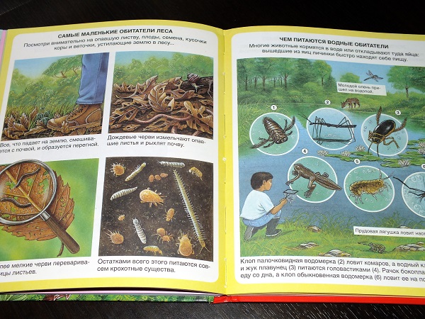 Совсем немного из последних приобретений