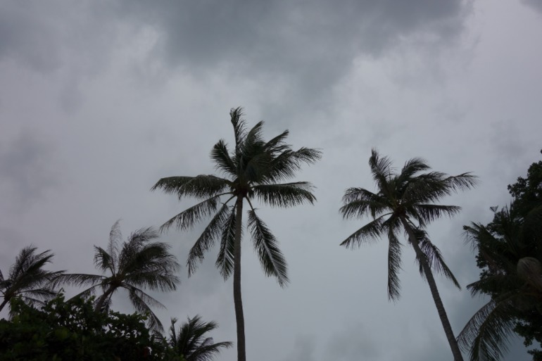 Москва-Бангкок-Пхукет-Самуи-Пхукет-Бангкок-Москва (много фото)