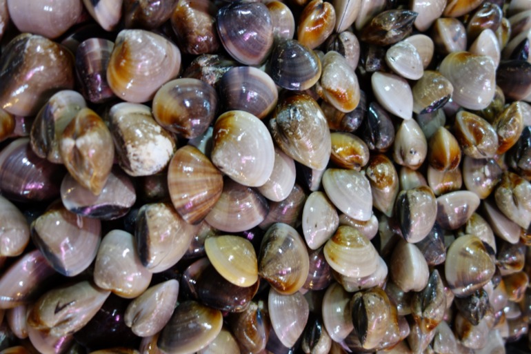 Москва-Бангкок-Пхукет-Самуи-Пхукет-Бангкок-Москва (много фото)