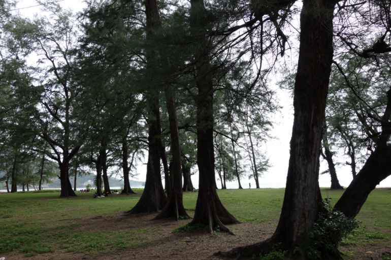 Москва-Бангкок-Пхукет-Самуи-Пхукет-Бангкок-Москва (много фото)