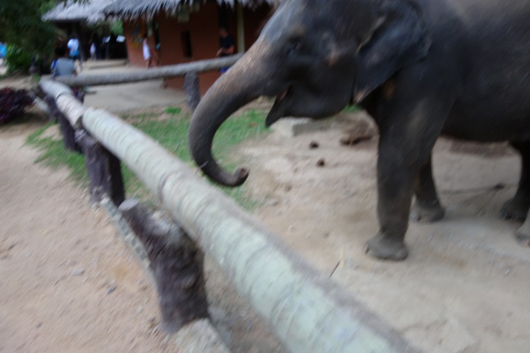 Москва-Бангкок-Пхукет-Самуи-Пхукет-Бангкок-Москва (много фото)