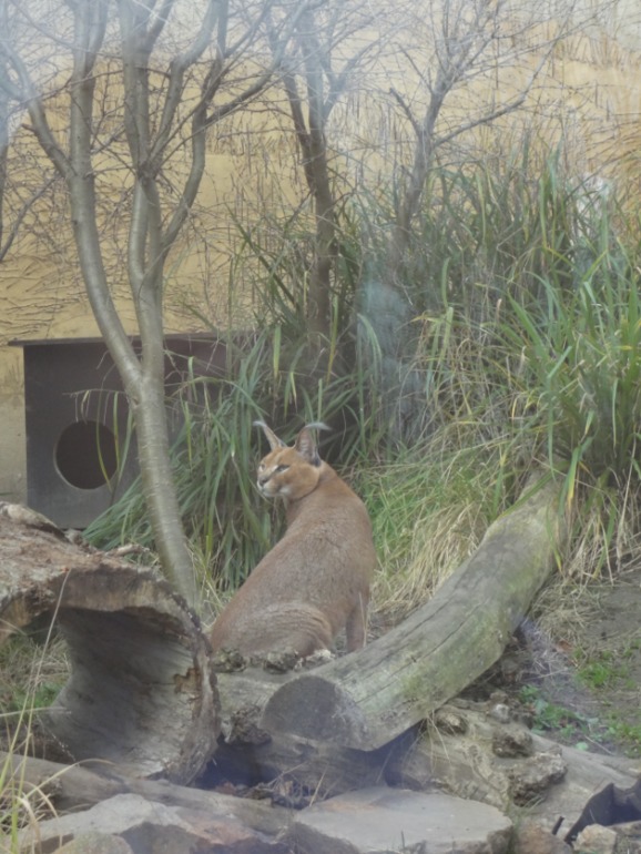 Отдых в Праге. День третий