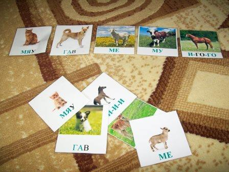 ТН Семья, день 5