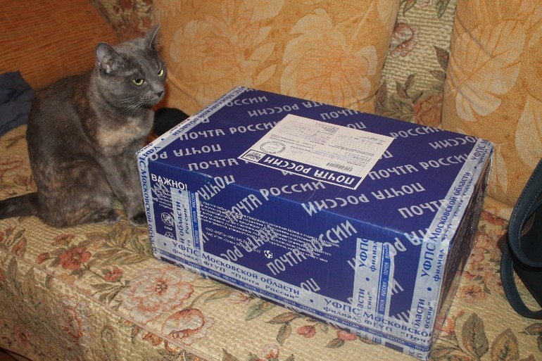 И у нас подарки!