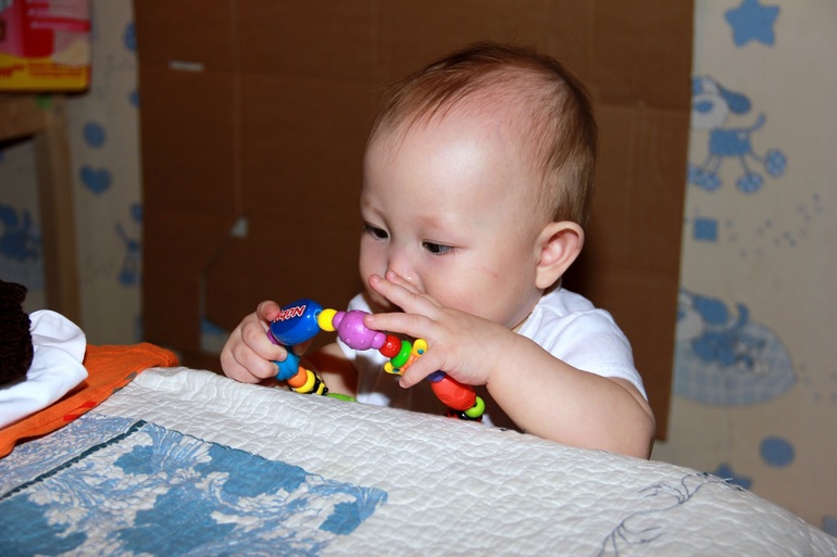 Елена, милая... Мяу!