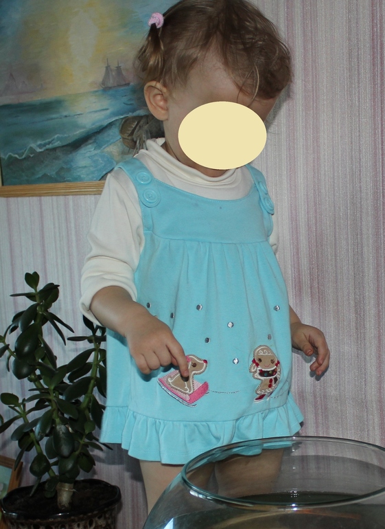 Одежда на девочку 80-98 см, 70 наименований! Carter's, Gymboree, Next, Gap, Ralph Lauren и т. д.