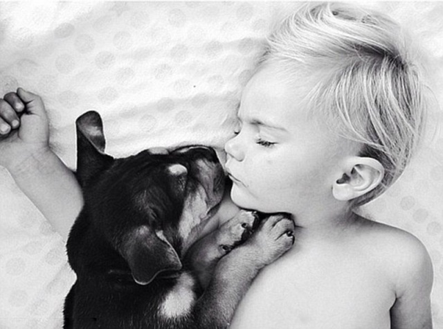 Щенячьи нежности