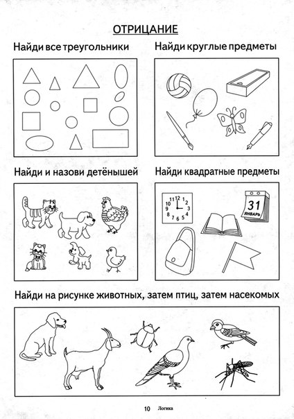 f31c989cea52b4530973042d4f344c75.jpg