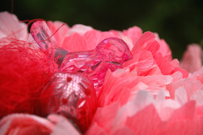 Солнце вышло на пять минут))) сфоткала все что можно))