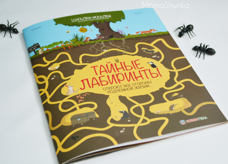 Лабиринт большие книги. Лабиринт тайных книг. Большие книги лабиринты. Большая книга лабиринтов. Тайные лабиринты.