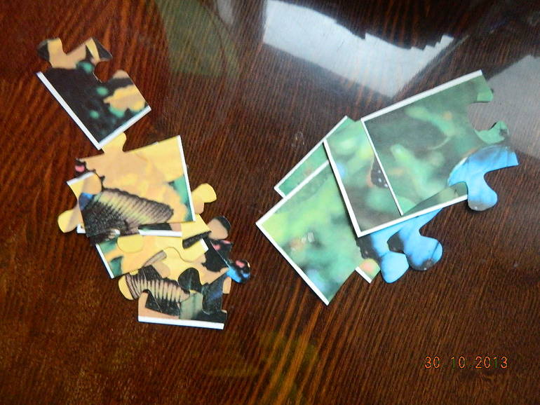 ТН "Бабочки" 2г2мес