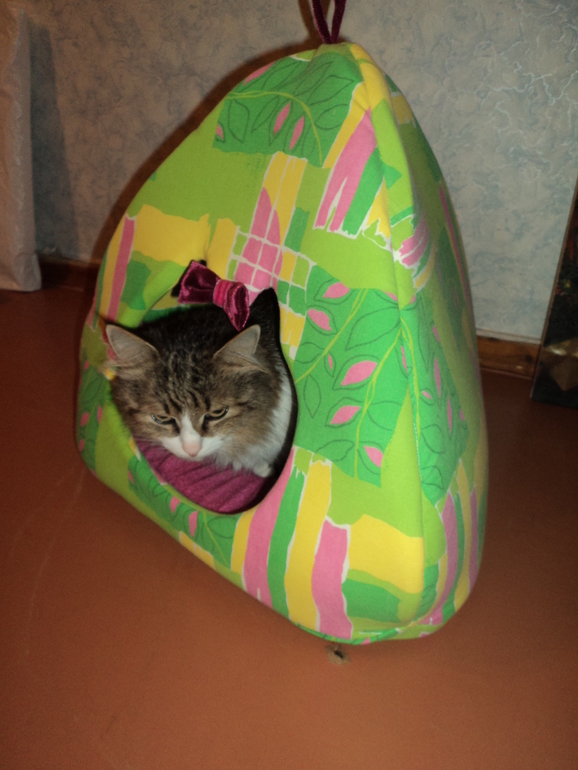 Кошкин дом!!!