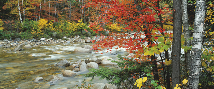 Фото обои  и цены.