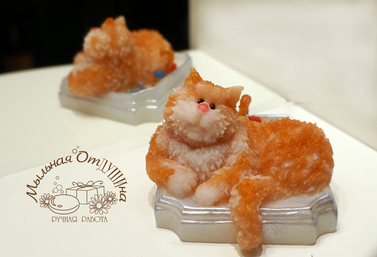 КотЭ, любитель водных процедур