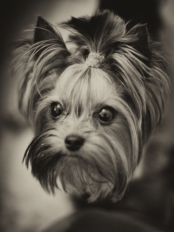 Наша крошка