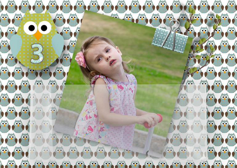 День рождения для маленькой любительницы сов.