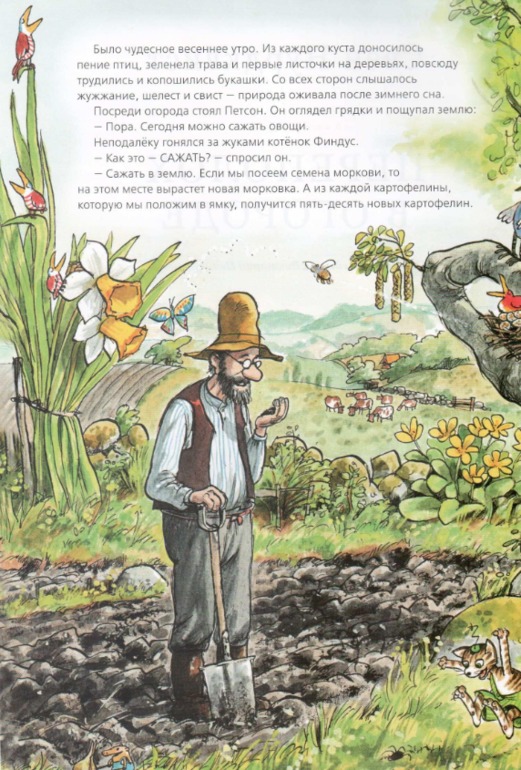 Свен Нурдквист: Переполох в огороде