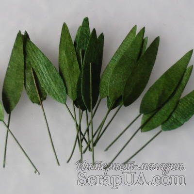 Подготовка и запись к СП после Нового года по МУЖСКОМУ АЛЬБОМУ!