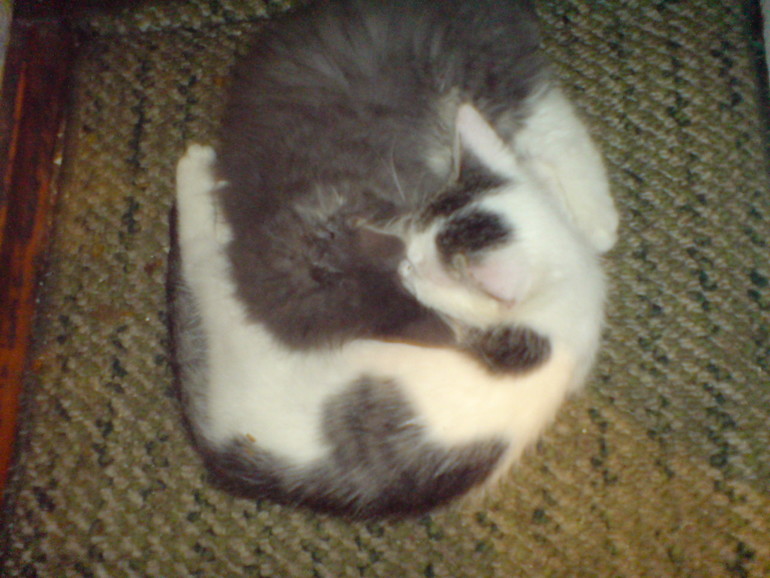 Дайте мне пинка!