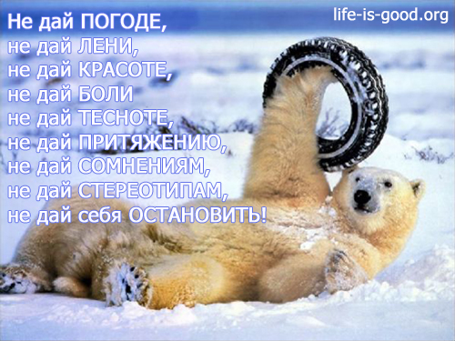 a310ceabb184eb6a6736a14d1d209ac7.jpg