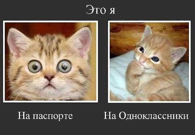 Доза позитива и жизненных данностей.