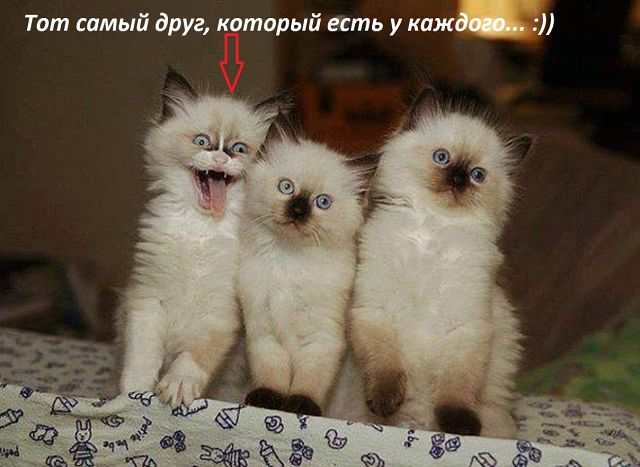 Доза позитива и жизненных данностей.