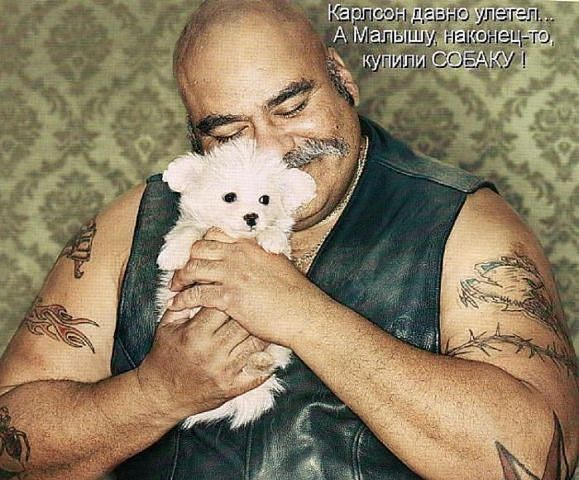 Доза позитива и жизненных данностей.