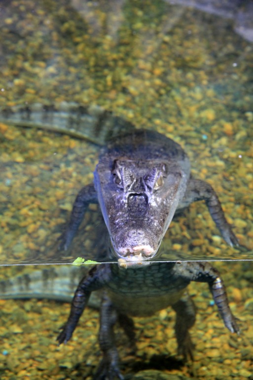Океанариум в Москве