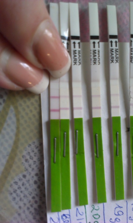 посмотрите тесты