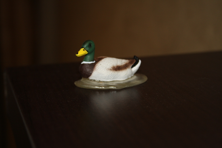 Djeco, Schleich, Larsen. Наши очередные приобретения.