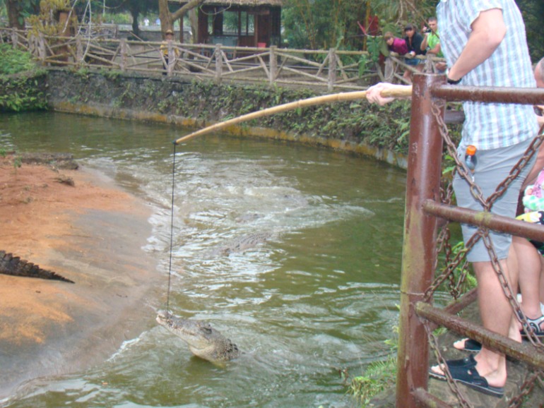 Дорогие мои! Я опять буду агитировать вас на Китай!