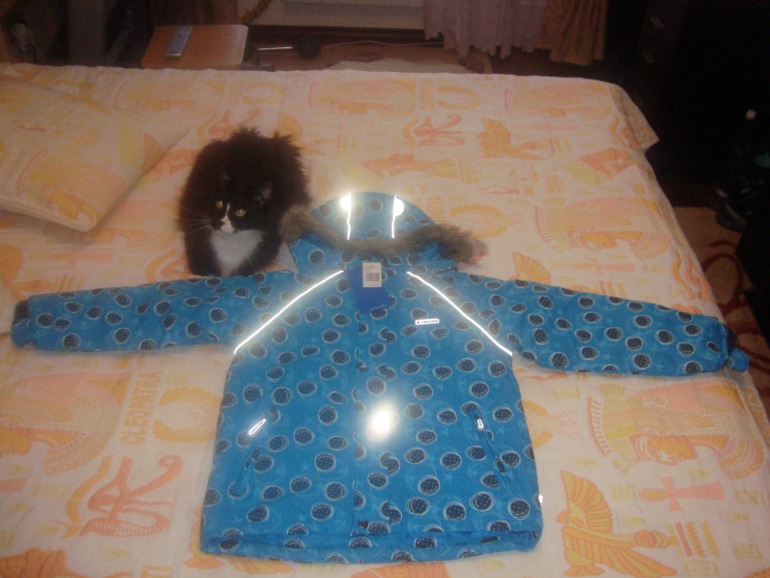 Джонатан Хвастики