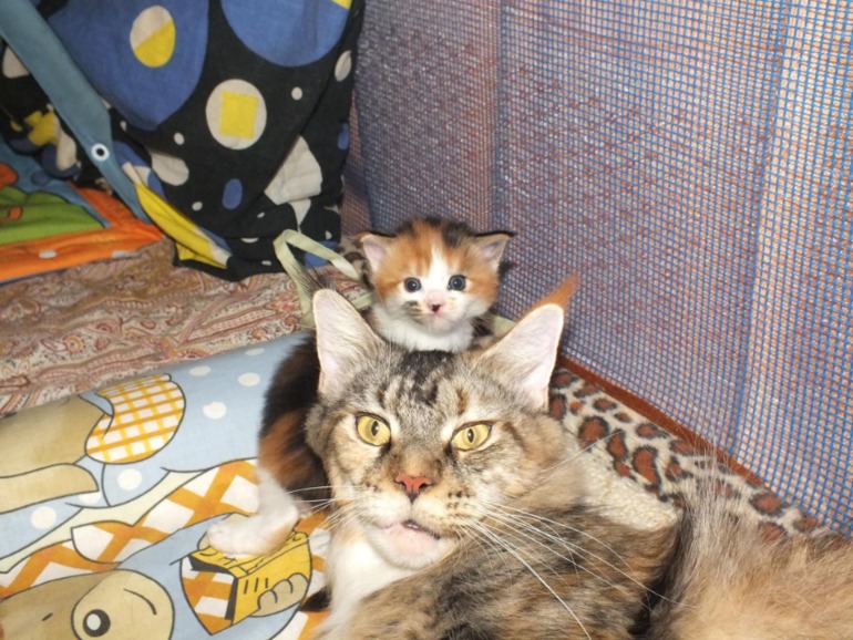 Мама с дочкой :)