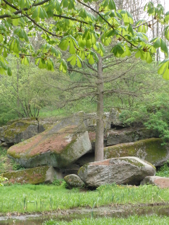 Контрольное задание № 5. "Корректируем тона при помощи уровней"