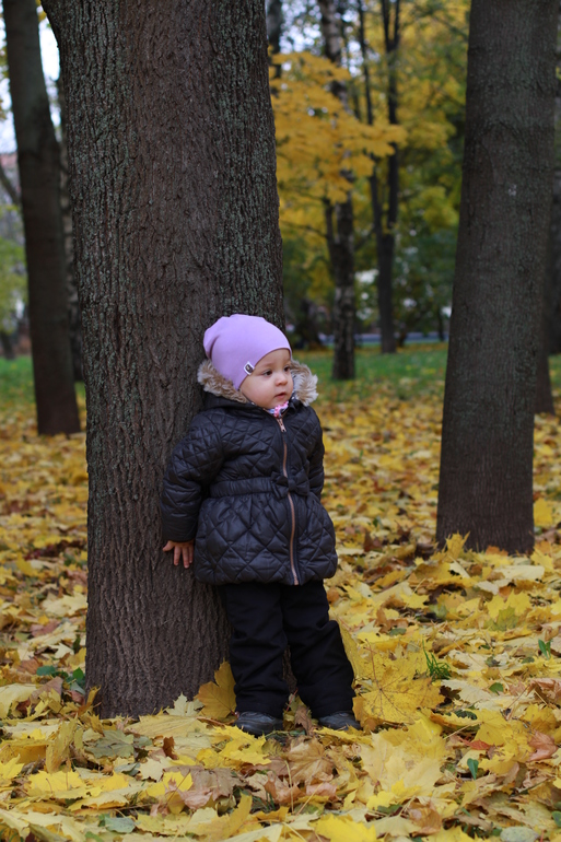 Золотая осень