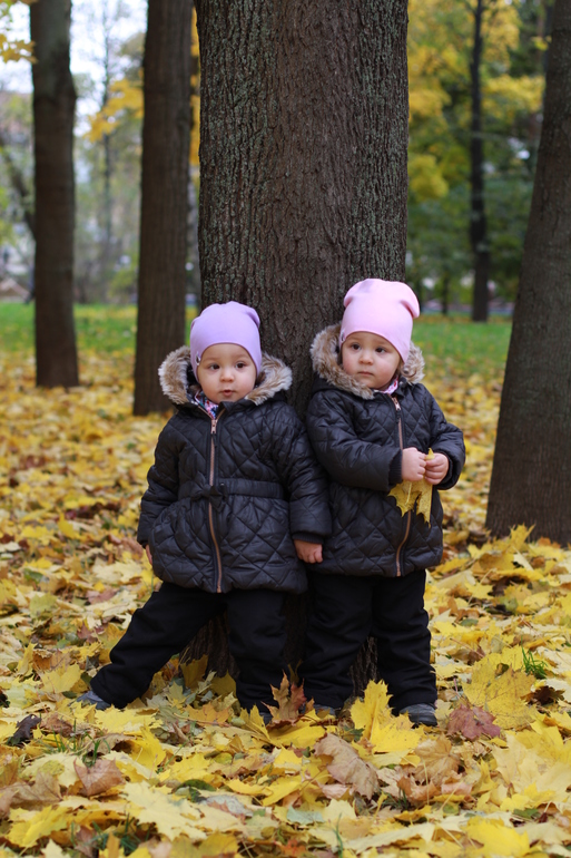 Золотая осень