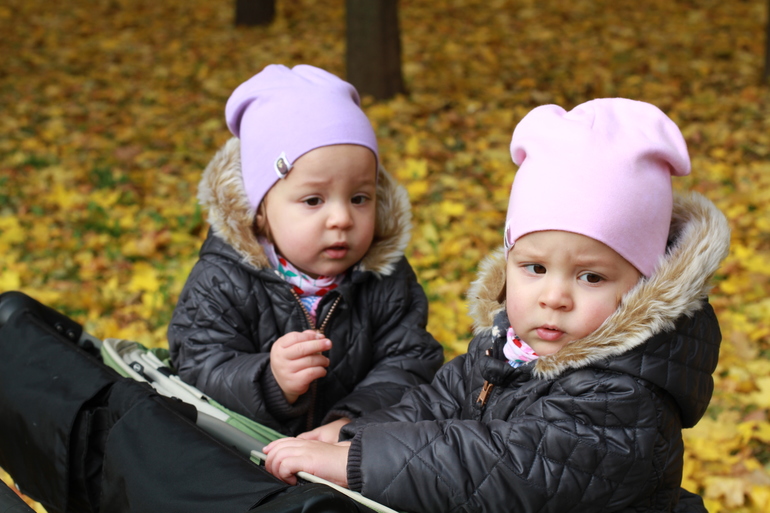 Золотая осень