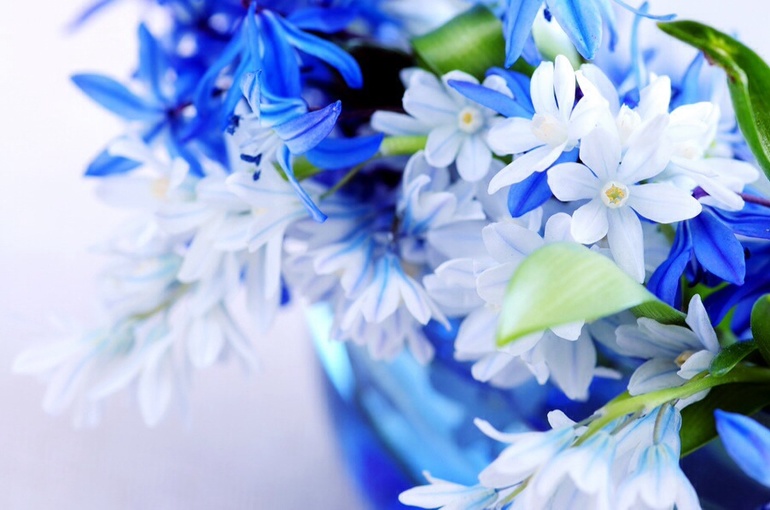 ab6d595b73391b3d6bbf9e4f0aab599f.jpg