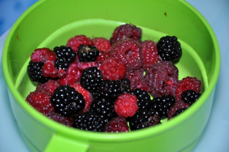 питание часть 1