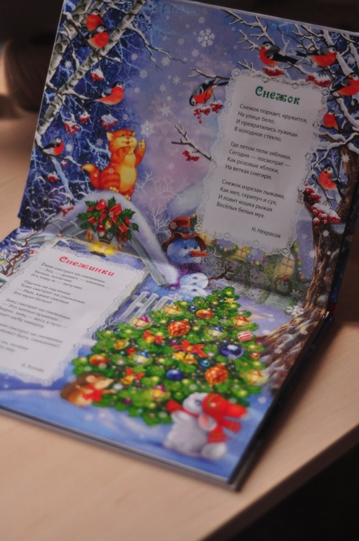 Наши предновогодние, зимние, и другие новые книжки....