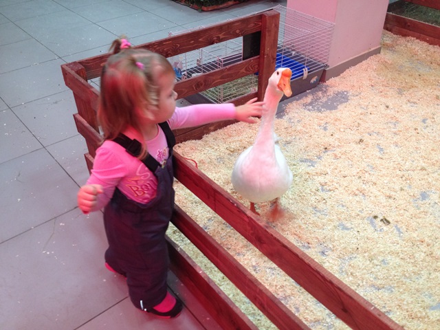 Контактный зоопарк 