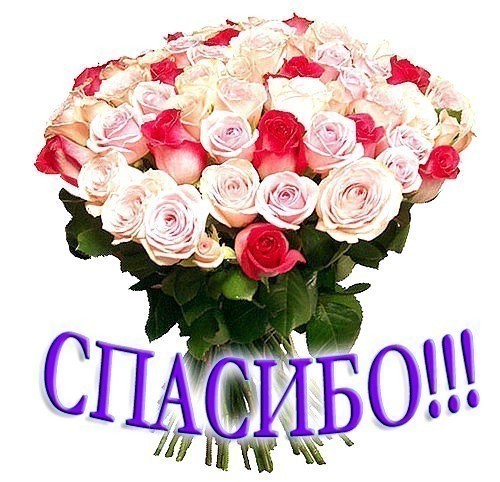4be2c7f959d8fbb5c729a3da1d0f7a03.jpg
