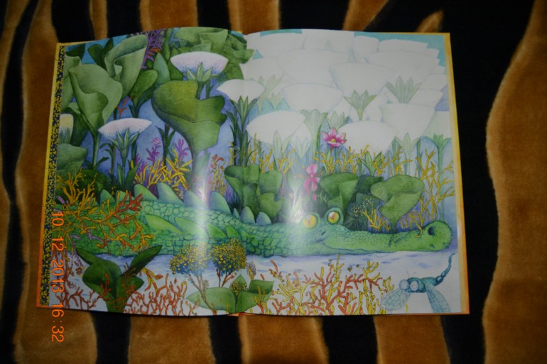 Наше пополнение