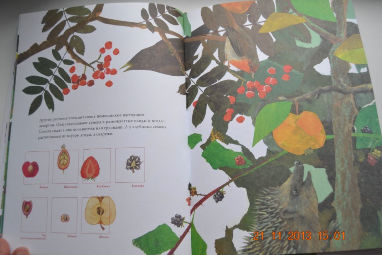 А вот и наше пополнение. Часть 2.