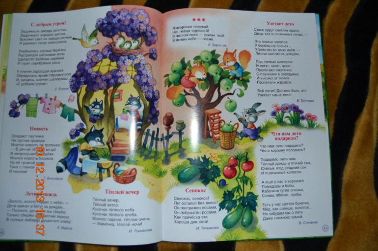 Наше пополнение