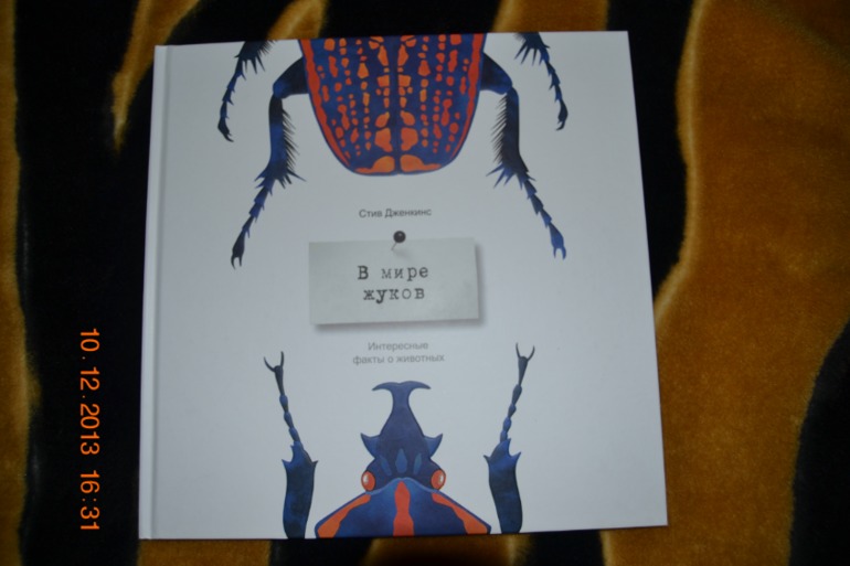 Наше пополнение