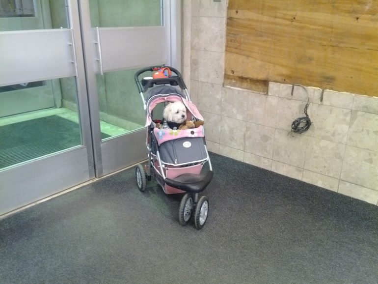 Малыш в коляске