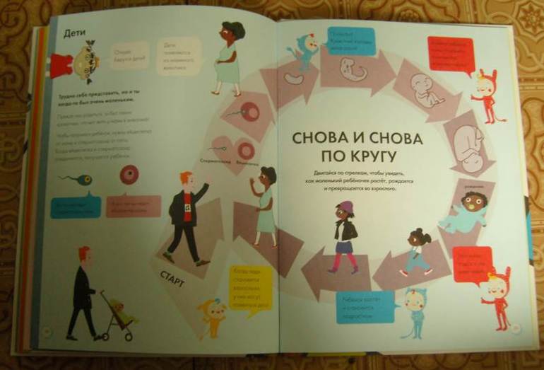 Мое тело.От макушки до пяток.